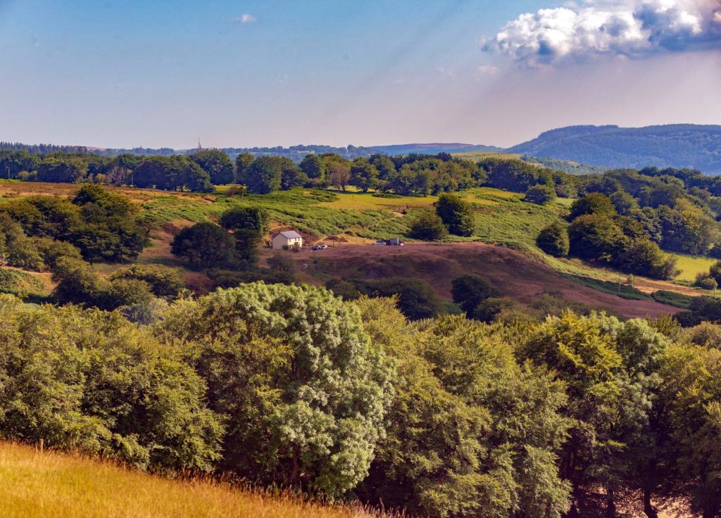 Pastoral View of a Valley Top